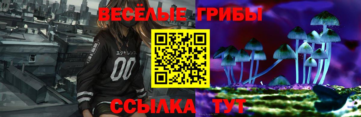 Псилоцибиновые грибы Psilocybe Ялуторовск